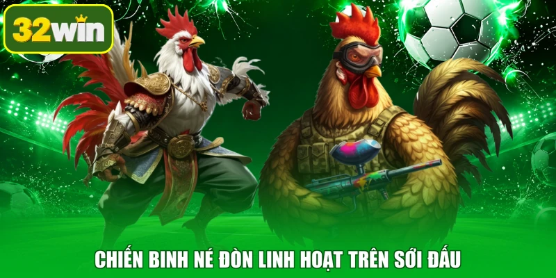 Chiến binh né đòn linh hoạt trên sới đấu