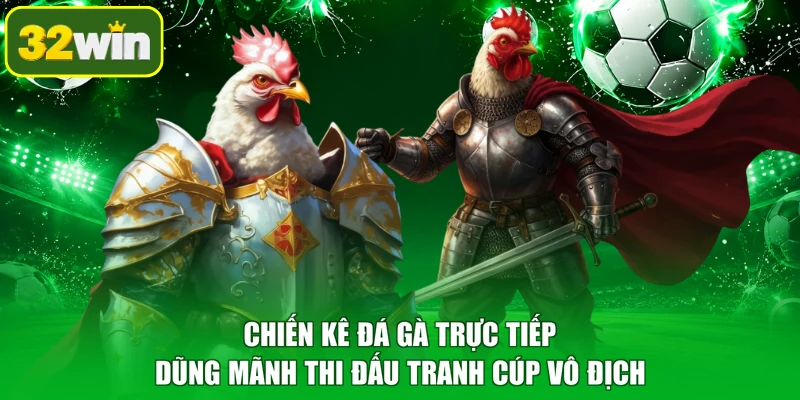 Chiến kê đá gà trực tiếp dũng mãnh thi đấu tranh cúp vô địch