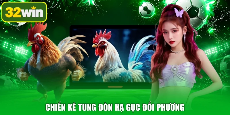 Chiến kê tung đòn hạ gục đối phương