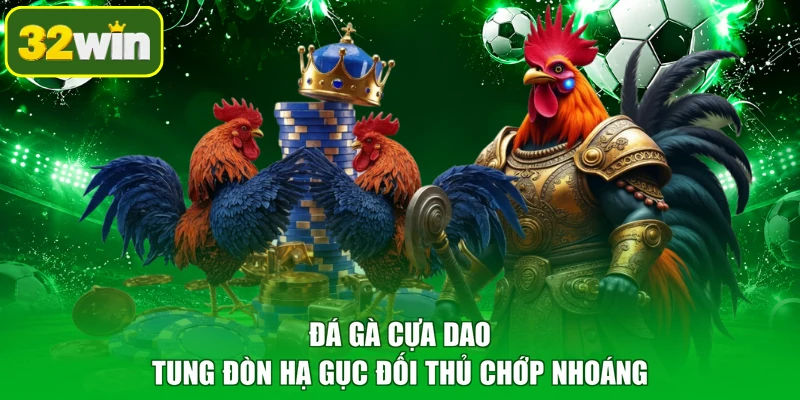 Đá gà cựa dao tung đòn hạ gục đối thủ chớp nhoáng