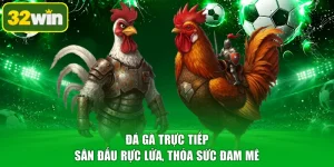 Đá Gà Trực Tiếp - Sân Đấu Rực Lửa, Thỏa Sức Đam Mê