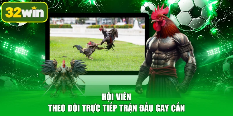 Hội viên theo dõi trực tiếp trận đấu gay cấn