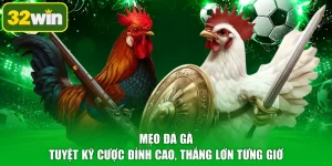 Mẹo Đá Gà - Tuyệt Kỹ Cược Đỉnh Cao, Thắng Lớn Từng Giờ